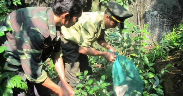 Quảng Bình: Thả nhiều động vật hoang dã về Vườn Quốc gia Phong Nha-Kẻ Bàng