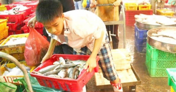 Lạm dụng lao động trẻ em: Làm gì để xóa bỏ tận gốc? Lạm dụng lao động trẻ em: Làm gì để xóa bỏ tận gốc?