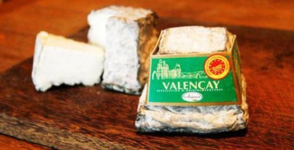 Bộ Công Thương khuyến cáo phô mai sữa dê nhập khẩu nhiễm khuẩn Bộ Công Thương khuyến cáo phô mai sữa dê nhập khẩu nhiễm khuẩn