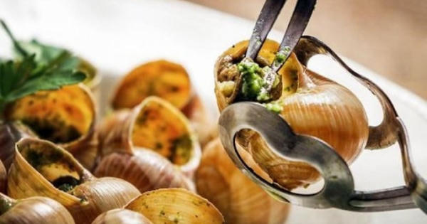 Ốc sên Escargot – đệ nhất ẩm thực Pháp