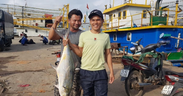Ngư dân kể chuyện đánh trúng mẻ cá 'khủng' 120 tấn