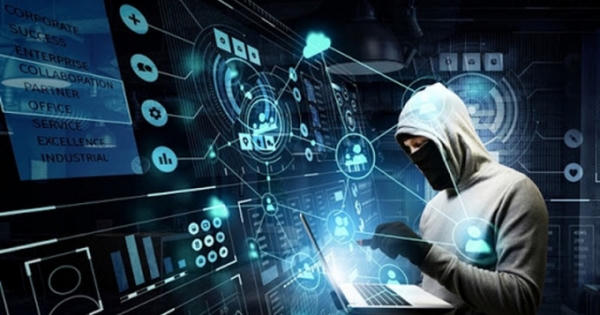 Những “nhà đầu tư” liều mạng