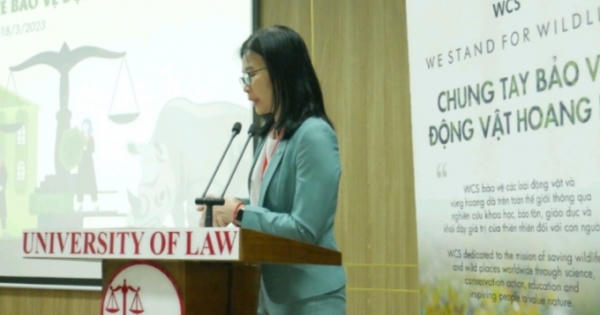 Sinh viên Luật nghiên cứu về động vật hoang dã