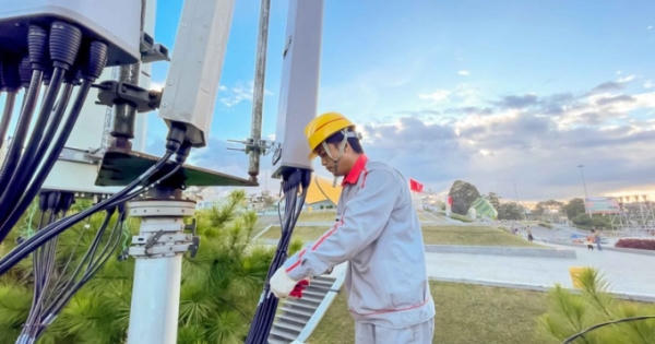 Ứng phó sự cố đứt cáp quang biển