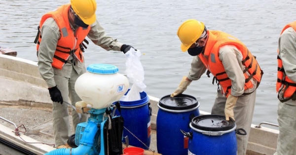 Vợ ông Nguyễn Đức Chung giả chữ ký con trai thành lập Công ty Arktic