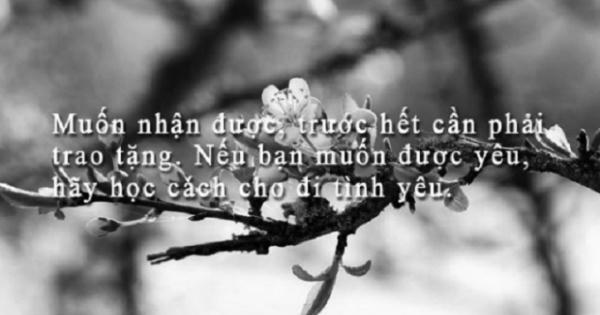 Sinh ra tay trắng, lúc về cát bụi cũng hoàn trắng tay Sinh ra tay trắng, lúc về cát bụi cũng hoàn trắng tay
