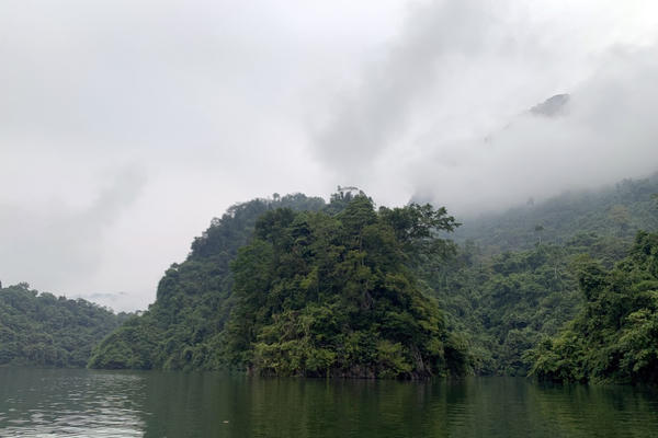 Tuyên Quang phê duyệt đề án du lịch sinh thái rừng phòng hộ Na Hang