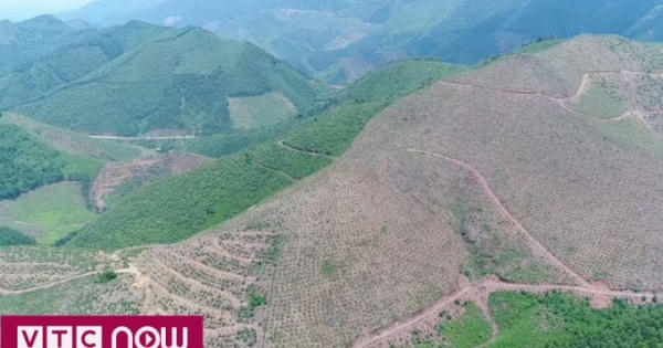Hàng ngàn ha rừng Quảng Ninh bị phá do đâu?