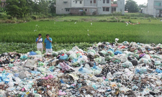 Sống chung với rác Sống chung với rác