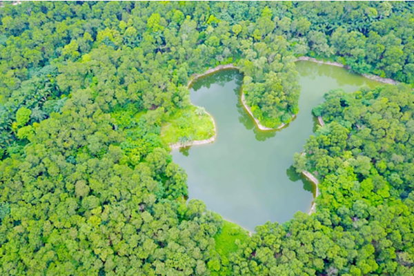 Công nhận điểm du lịch Vườn Thực vật Hà Nội tại phường Tây Tựu