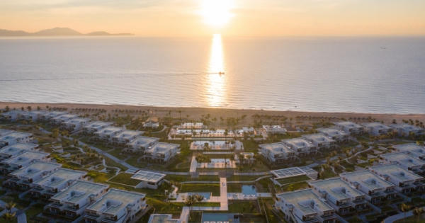 Góc nhìn từ người trong cuộc về Công ty ALMA