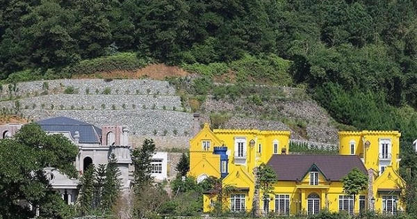 Hà Nội chỉ đạo kỷ luật nhiều cán bộ sai phạm vụ rừng Sóc Sơn