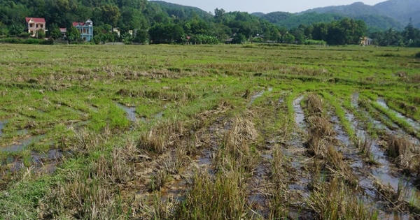 Lại bán dự án 'ma'