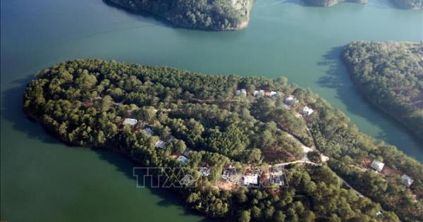 Đình chỉ thi công bệnh viện lấn rừng phòng hộ hồ Tuyền Lâm, Lâm Đồng