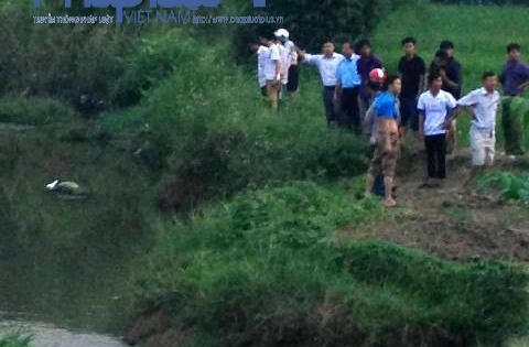 Vĩnh Phúc: Phát hiện thi thể nam giới đang phân hủy tại cầu Nóng