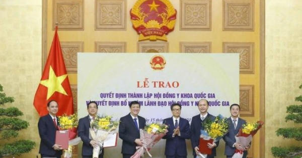 Quyết định tầm cỡ với ngành Y