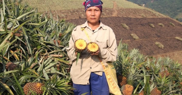 Lào Cai: Đình chỉ hoạt động nhà máy luyện kim gây ô nhiễm môi trường