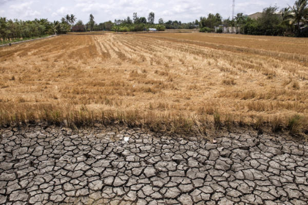 Ứng phó nguy cơ hạn hán, thiếu nước, xâm nhập mặn ở Đồng bằng sông Cửu Long Ứng phó nguy cơ hạn hán, thiếu nước, xâm nhập mặn ở Đồng bằng sông Cửu Long