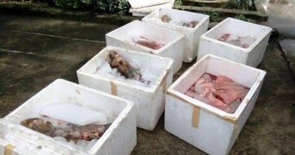 Nghệ An: Phát hiện xe buýt vận chuyển nội tạng động vật bốc mùi hôi thối Nghệ An: Phát hiện xe buýt vận chuyển nội tạng động vật bốc mùi hôi thối