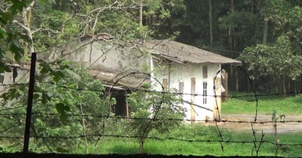 Địa ốc 7AM: Rừng phòng hộ Long Thành bị tỉa “quá tay”, đất phố cổ Hà Nội bán giá bèo Địa ốc 7AM: Rừng phòng hộ Long Thành bị tỉa “quá tay”, đất phố cổ Hà Nội bán giá bèo