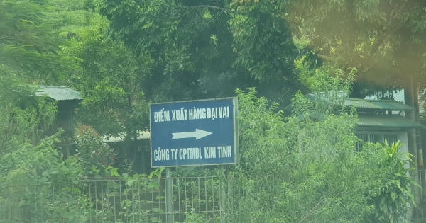 UBND tỉnh Quảng Ninh cần nhanh chóng tháo gỡ khó khăn cho doanh nghiệp tại điểm xuất hàng Đại Vai UBND tỉnh Quảng Ninh cần nhanh chóng tháo gỡ khó khăn cho doanh nghiệp tại điểm xuất hàng Đại Vai