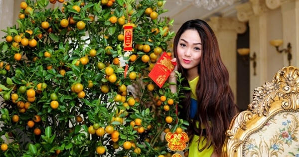 Cách chưng quất và đào đúng phong thủy với năm Bính Thân Cách chưng quất và đào đúng phong thủy với năm Bính Thân