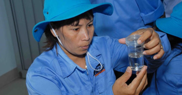 Chuẩn bị thả muỗi ngăn ngừa sốt xuất huyết Chuẩn bị thả muỗi ngăn ngừa sốt xuất huyết