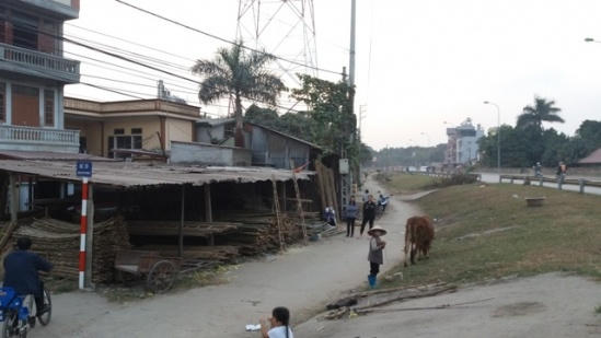 Đề xuất sửa đổi quy định xử phạt vi phạm về phòng, chống thiên tai, bảo vệ đê điều