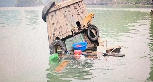 Chiêu trốn chạy khiến Thanh tra vịnh Hạ Long 'chết lặng'