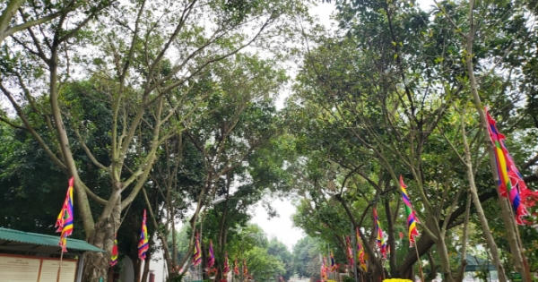Chấm dứt tình trạng “Tháng Giêng là tháng ăn chơi” Chấm dứt tình trạng “Tháng Giêng là tháng ăn chơi”