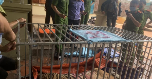 Cận cảnh căn nhà nuôi 17 “chúa sơn lâm” trái phép bị Công an Nghệ An triệt phá