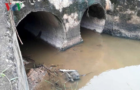 Cá lại chết gần khu công nghiệp Quán Ngang, Quảng Trị