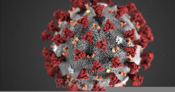 Đánh giá sơ bộ của WHO về các dòng phụ BA.4 và BA.5 của biến thể Omicron