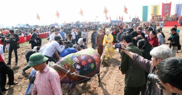 Hà Nam: Đông nghịt người chen lấn nhau xem "Vua" cày ruộng đầu năm