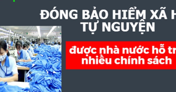Đóng bảo hiểm xã hội tự nguyện 6 năm rồi chết, thân nhân hưởng chế độ gì?