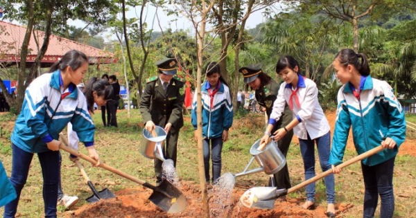 Tiếp tục đẩy mạnh phong trào trồng cây xanh trong ngành Giáo dục