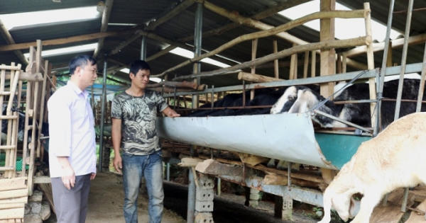 Hà Giang: Huyện Quang Bình làm tốt công tác giải quyết việc làm cho người lao động