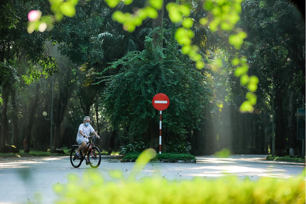 Những mảng rừng xanh vun đắp tâm hồn tại KĐT Ecopark