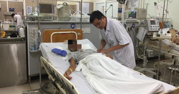 Chuyên gia chống độc chỉ cách xử lý khi bị ong đốt Chuyên gia chống độc chỉ cách xử lý khi bị ong đốt