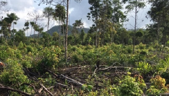 Kiên Giang: Phó chủ tịch HĐND xã bị tố khai man hồ sơ để chiếm đất Kiên Giang: Phó chủ tịch HĐND xã bị tố khai man hồ sơ để chiếm đất