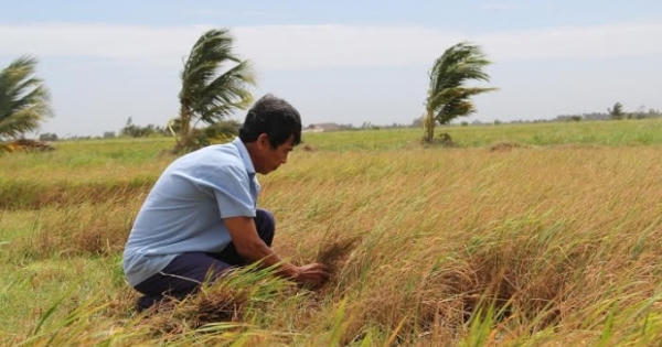 Hạn mặn diễn ra gay gắt tại Đồng bằng Sông Cửu Long: Chính quyền phải có trách nhiệm chia sẻ với người dân