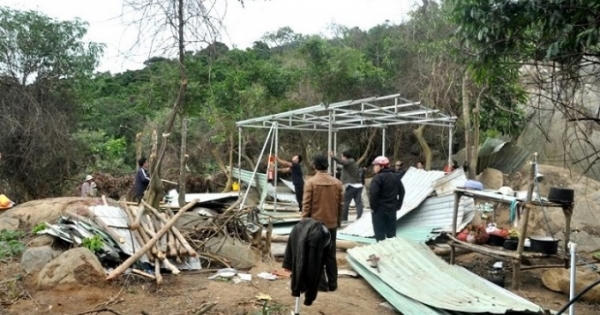 Vụ phá rừng Sơn Trà: Đình chỉ 5 cán bộ kiểm lâm Vụ phá rừng Sơn Trà: Đình chỉ 5 cán bộ kiểm lâm