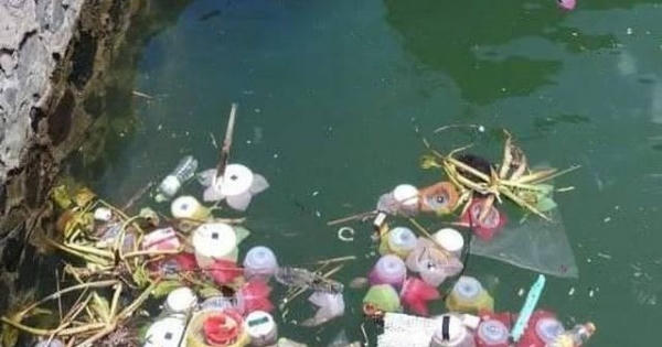 Thực hư chuyện thả 3 vạn hoa đăng nhựa xuống biển để 'bảo vệ môi trường'