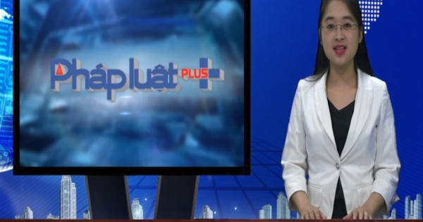 Bản tin Thời sự tổng hợp Pháp luật Plus 24/7