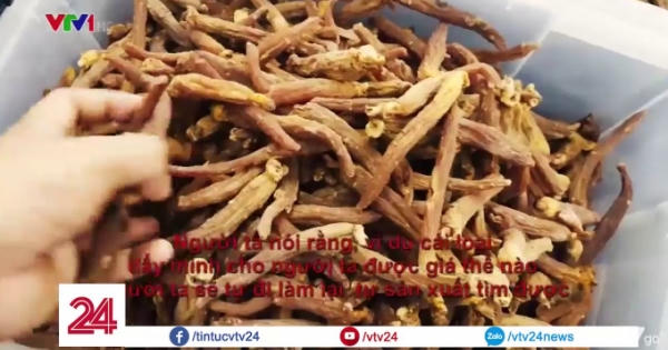 Dược liệu dùng chữa bệnh nhưng thực chất chỉ là rác thuốc Dược liệu dùng chữa bệnh nhưng thực chất chỉ là rác thuốc