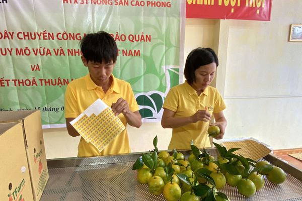 Cục An toàn thực phẩm hướng dẫn phân loại sản phẩm tự công bố, đăng ký bản công bố