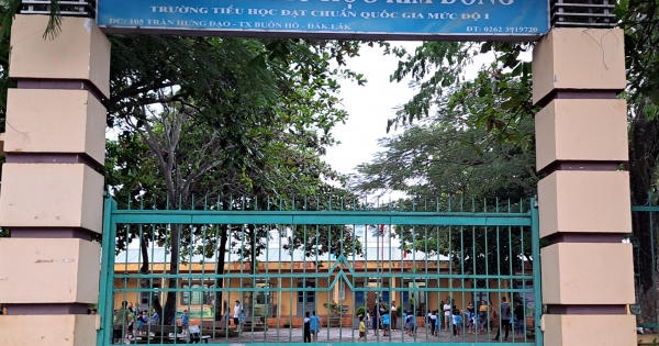 Chuyện những người gieo "mầm xanh" giữa lòng thị xã Buôn Hồ