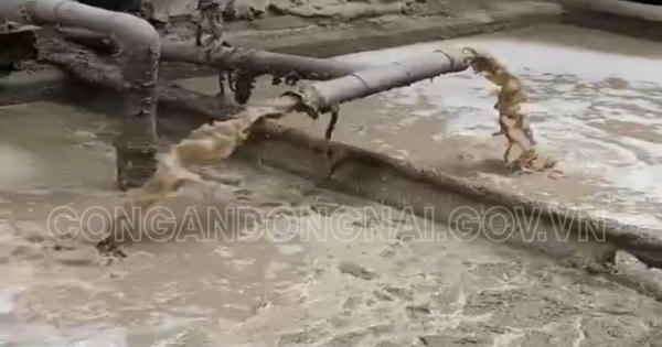 Đồng Nai: Công ty TNHH Giấy Tiến Nam lén lút xả thải ra môi trường