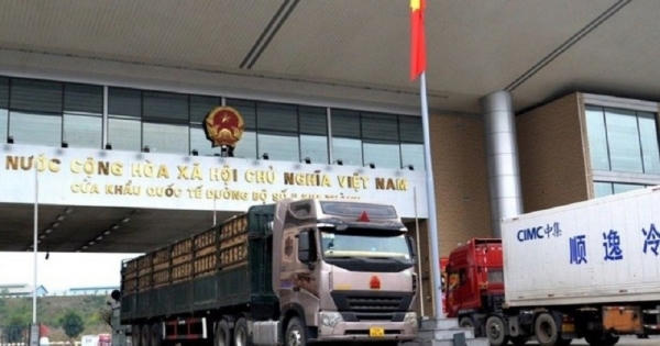 Xuất khẩu nông - lâm - thủy sản tăng đột biến Xuất khẩu nông - lâm - thủy sản tăng đột biến