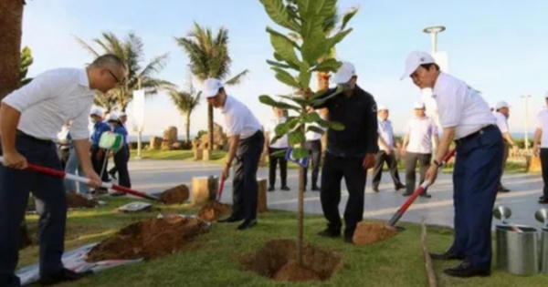 Tuần lễ Biển và Hải đảo Việt Nam: Cùng hành động vì đại dương